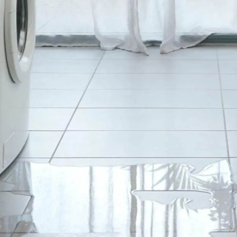 Appliance Leak Cleanup in Edmonton, KY