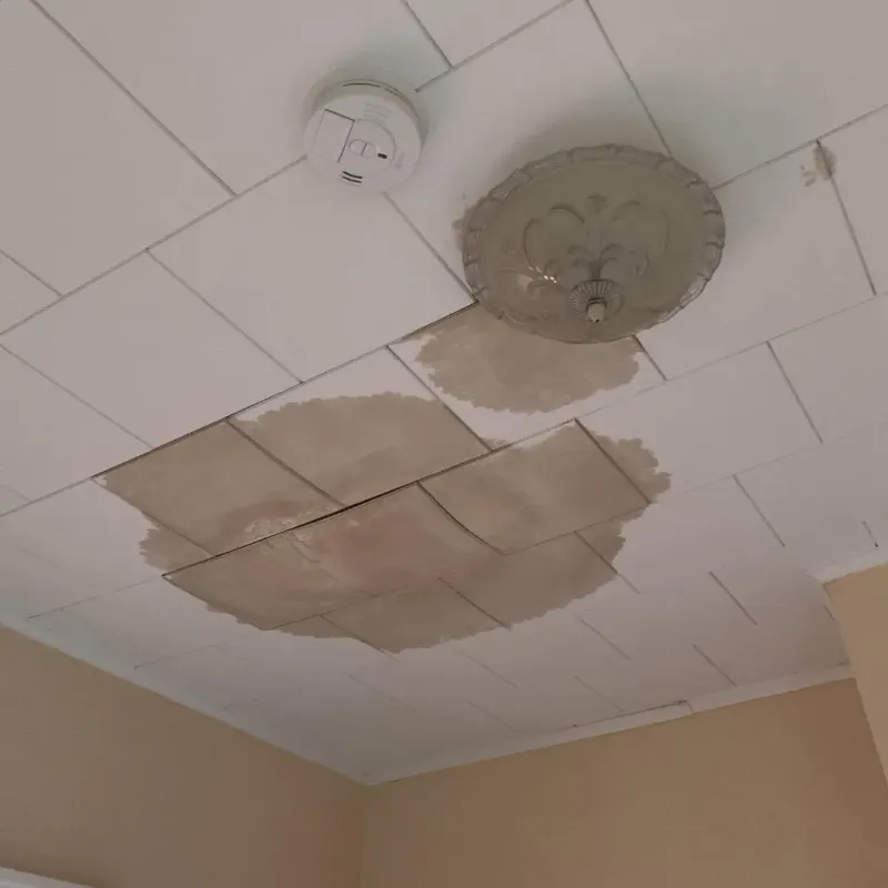 Ceiling Water Damage Repair in Edmonton, KY