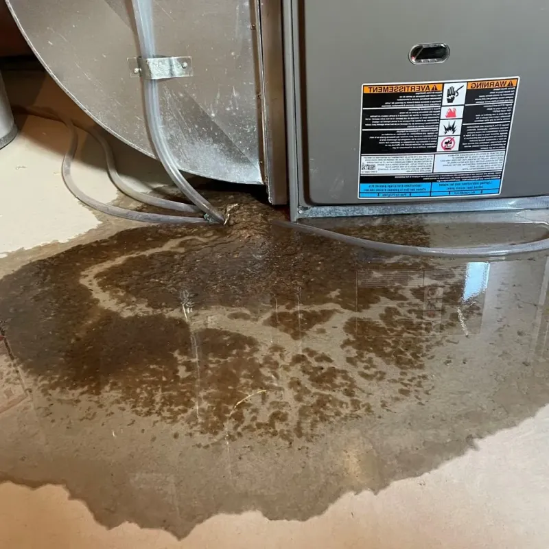 Pipe Burst and Leak Restoration in Edmonton, KY